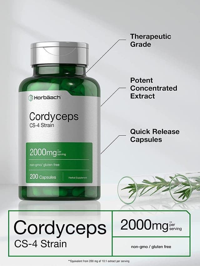 Cordyceps Capsules | 200 Capsules - Image 3