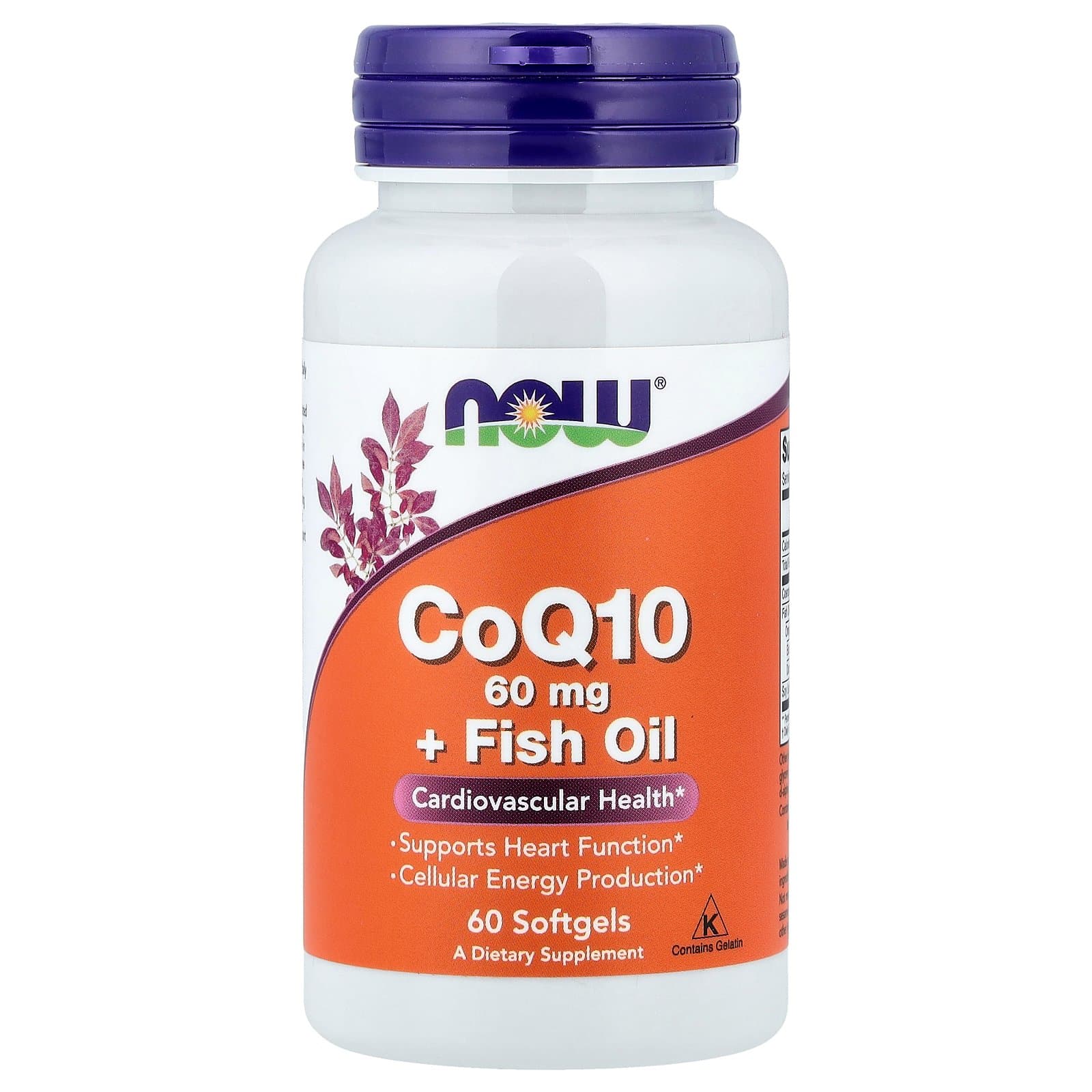 NOW Foods CoQ10 & Fish Oil – 60 Softgels
