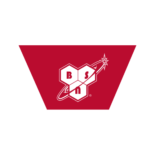BSN logo